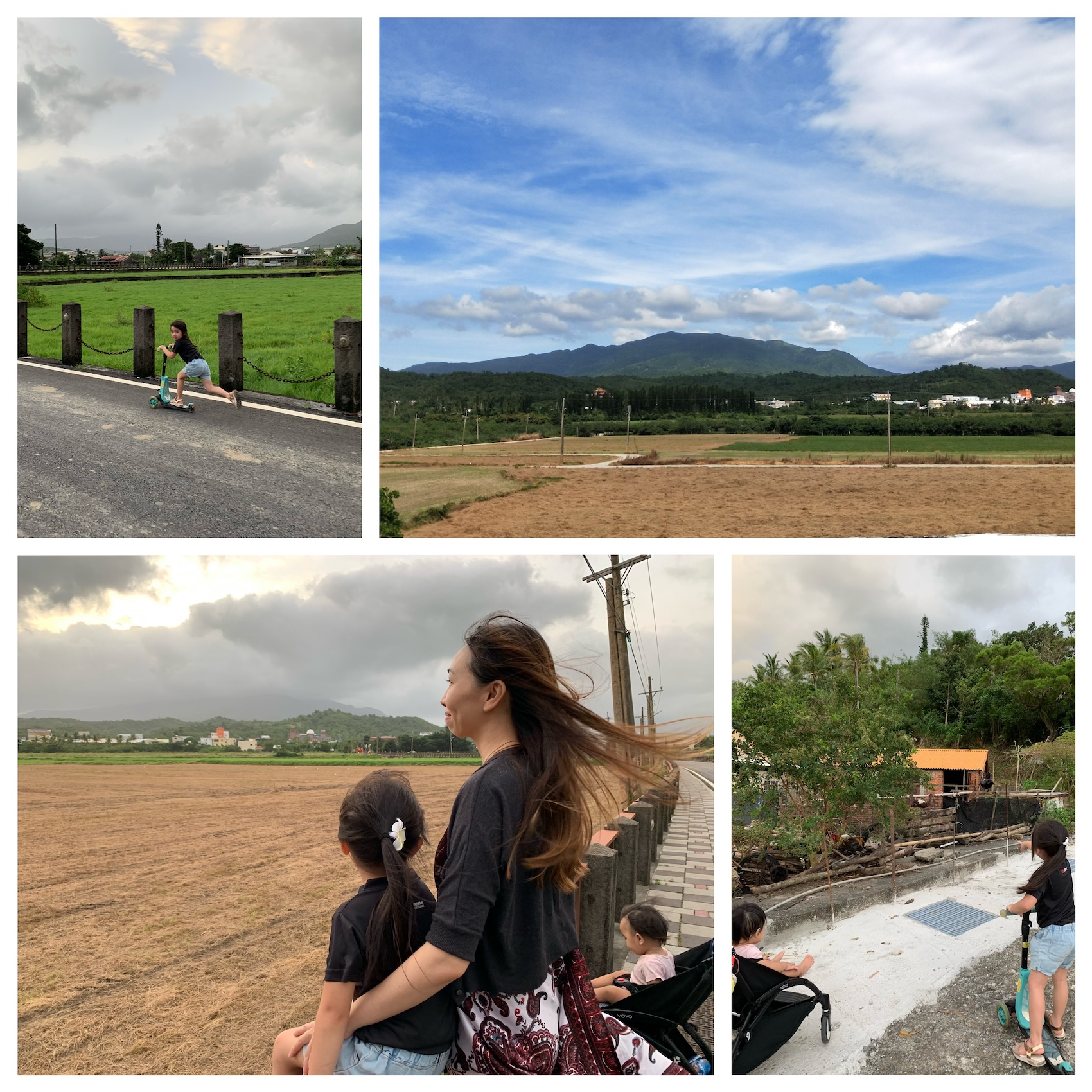 國慶連假，屏東滿州賞鷹去！灰面鵟鷹「國慶鳥」正待您來一睹風采